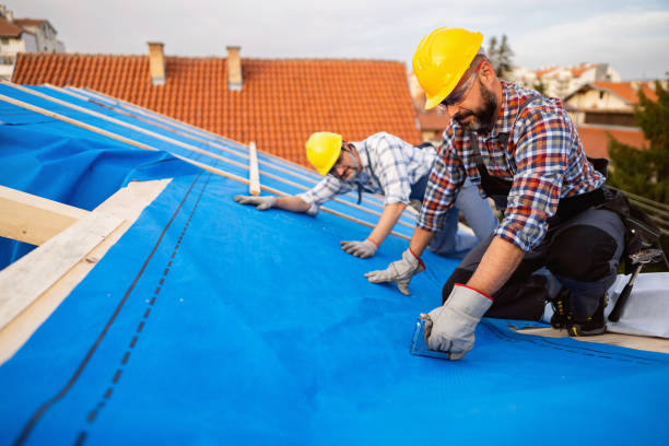 Professional Roofing Contractor in Alliance, OH